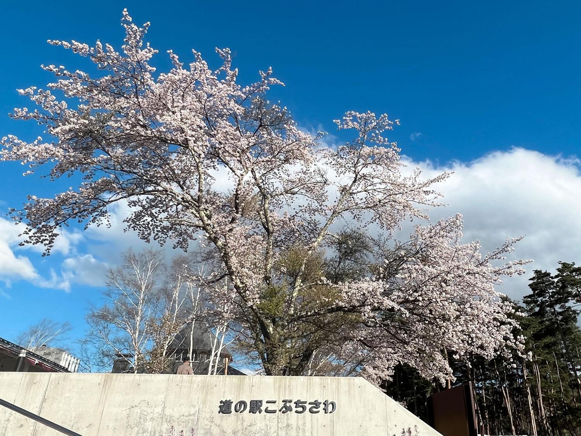 Rakuten Stay Villa Yatsugatake Hokuto  Eksteriør bilde